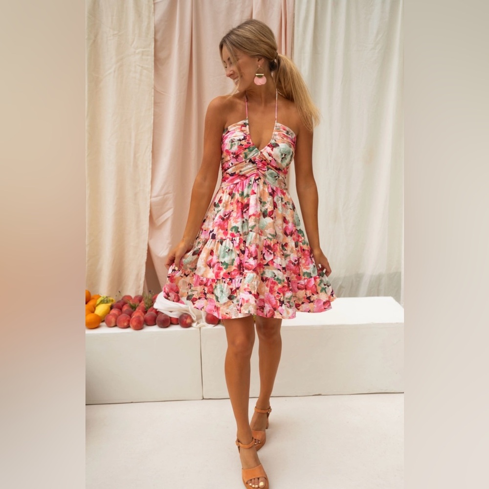 NEVER WORN Floral Alicia Dress in Pink Multi